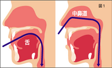 検査の説明図